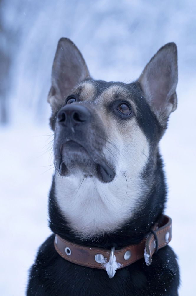 Photograph by Полина Котегова