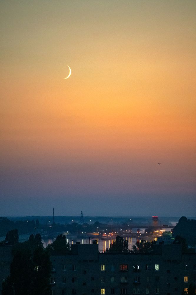 Photograph by Olga Egelnitskaya