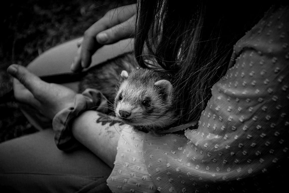 Photograph by HikoNikky