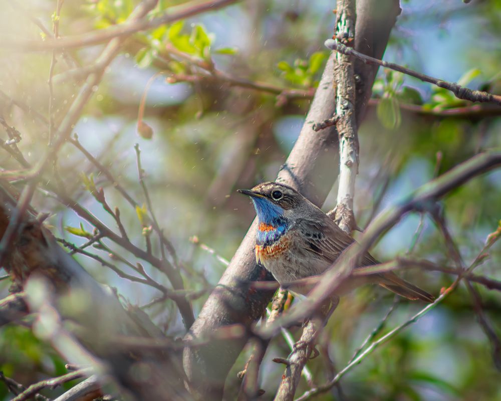 Photograph by Олег Белан