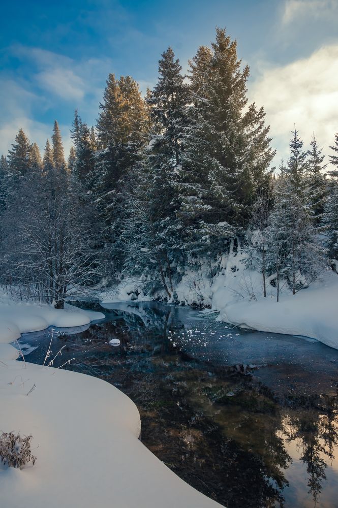 Photo #10318145