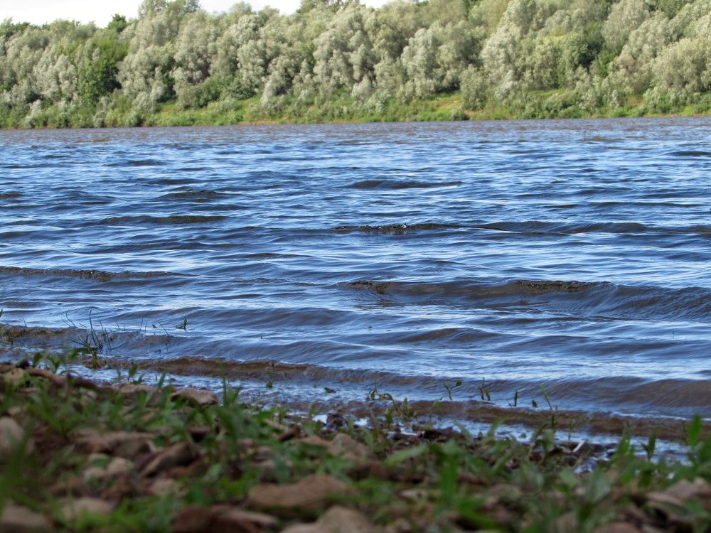 Убаюкивающие волны