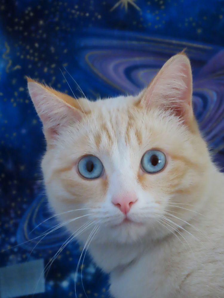 Эти глаза напротив