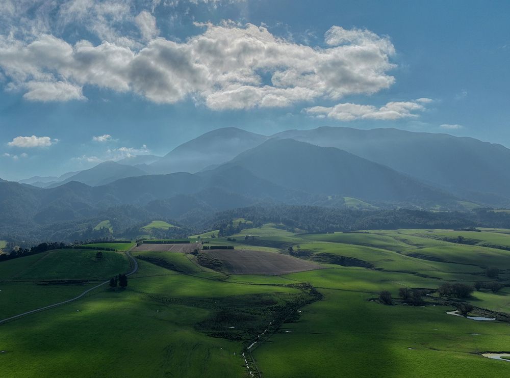 Sky High Greens - Mount Taylor