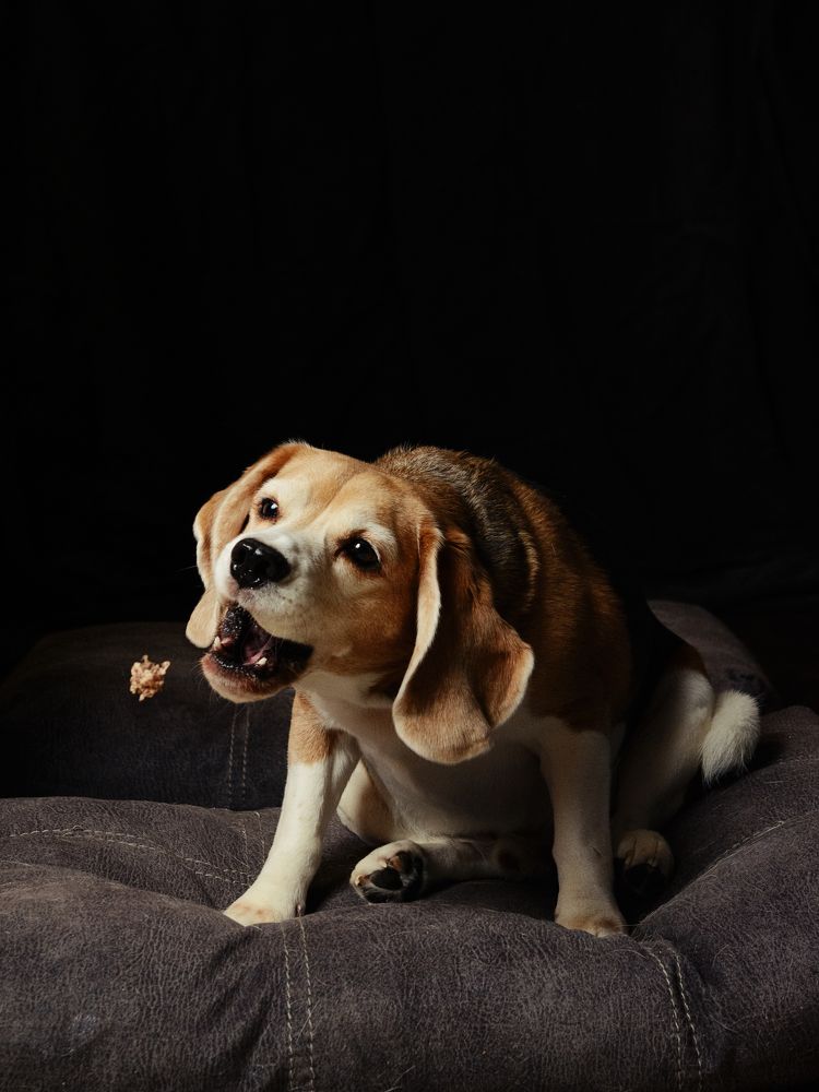 Photograph by Михаил Штенберг