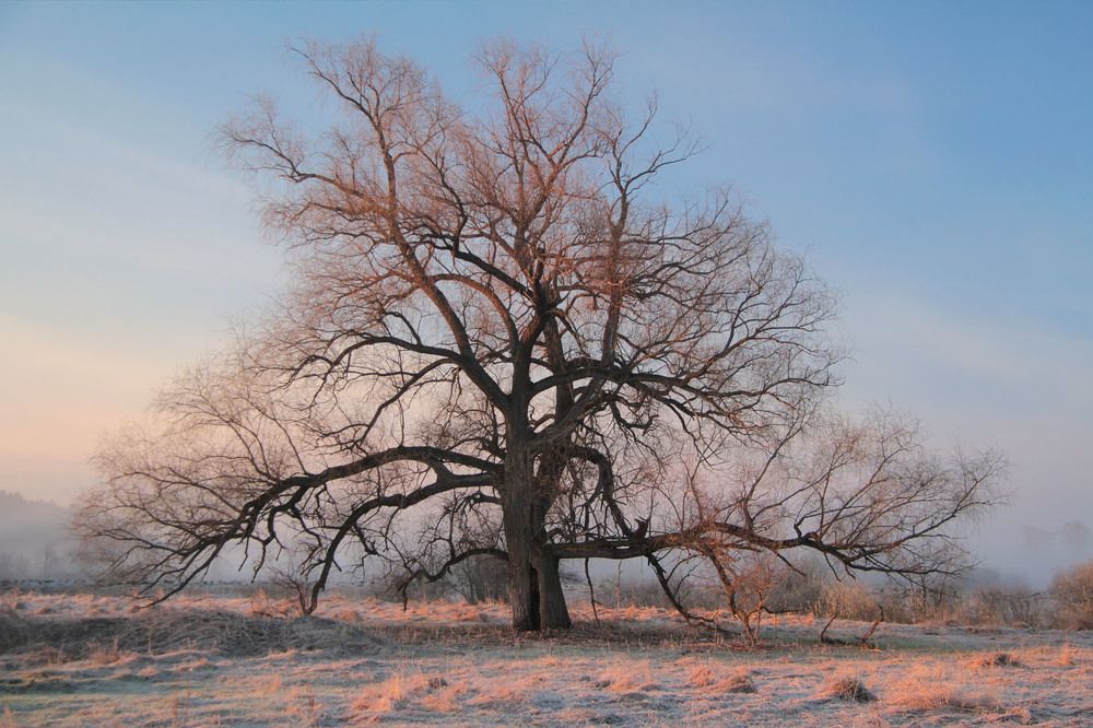 Photograph by Екатерина Родина