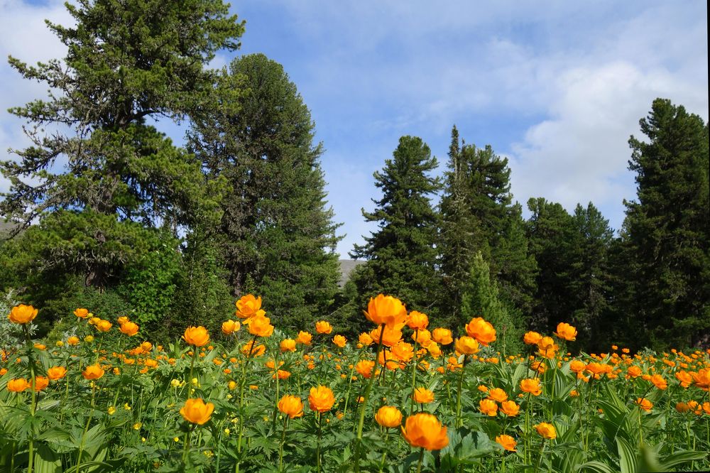 Photograph by Наталья Волошина