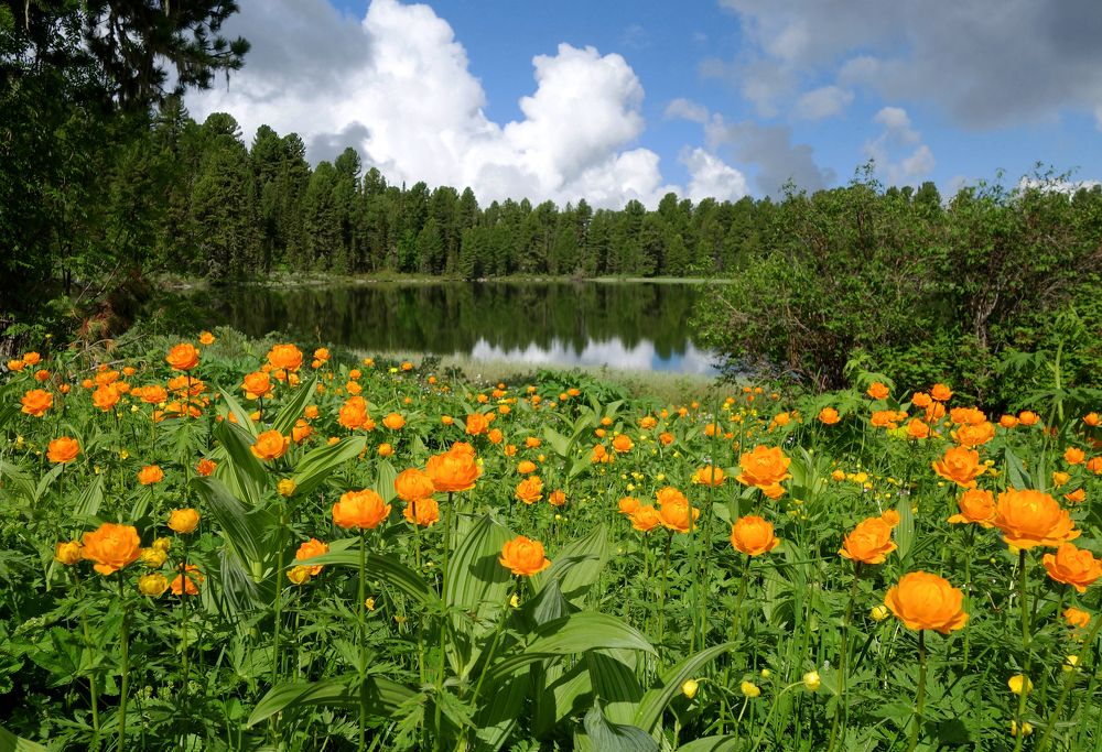 Photograph by Наталья Волошина