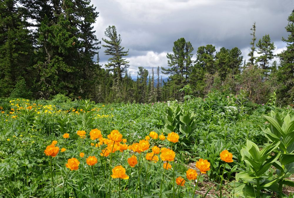 Photograph by Наталья Волошина
