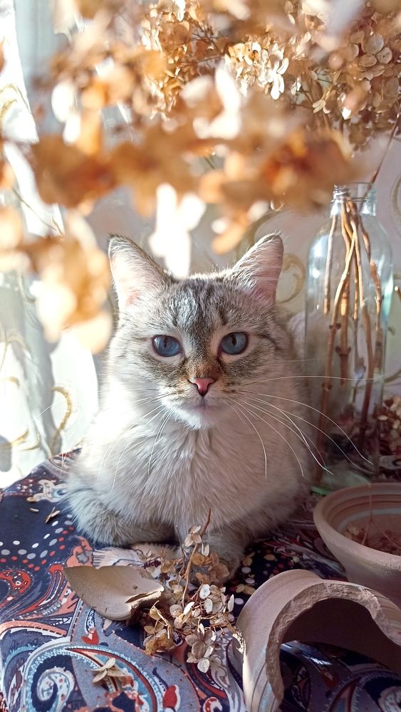 Photograph by Олеся Лосыгина