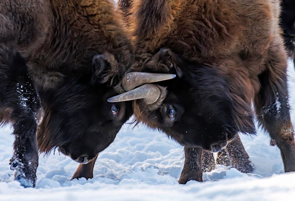 Photograph by Волынский Виктор