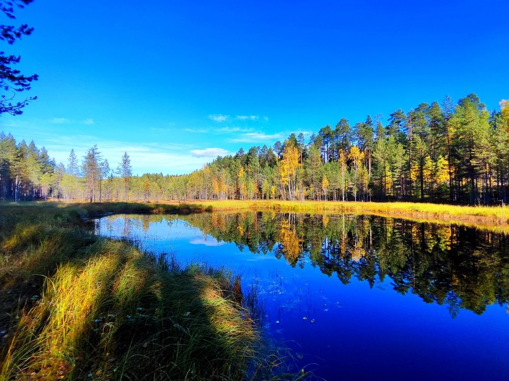 Photograph by Lev Kaufman