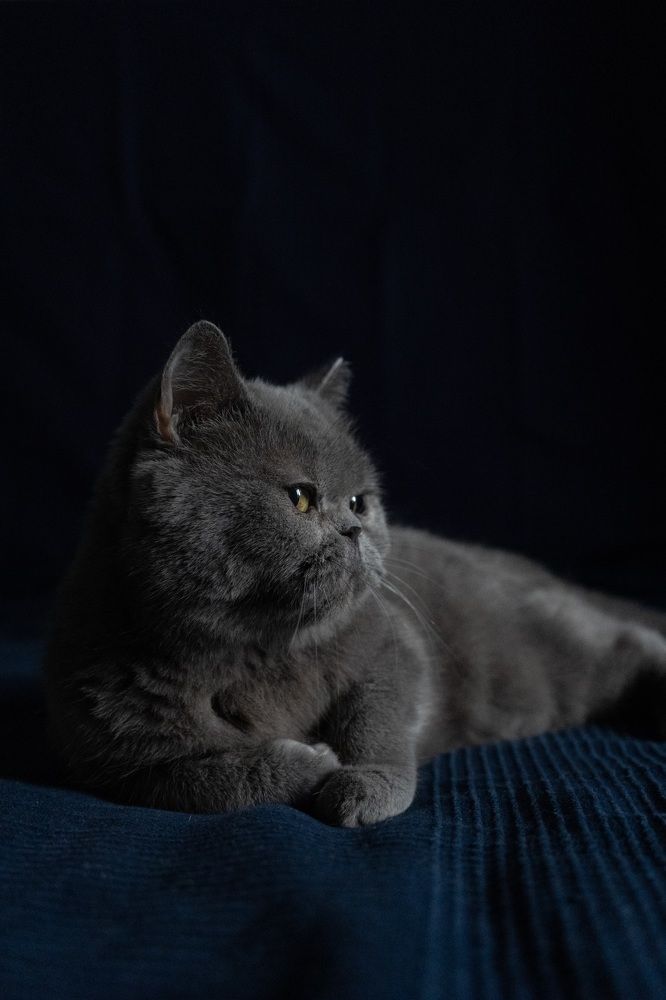 Photograph by Анна Марковская