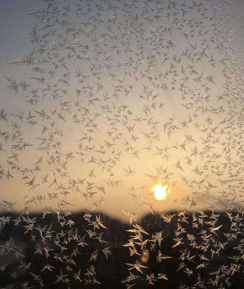 Photograph by Елена Макшеева