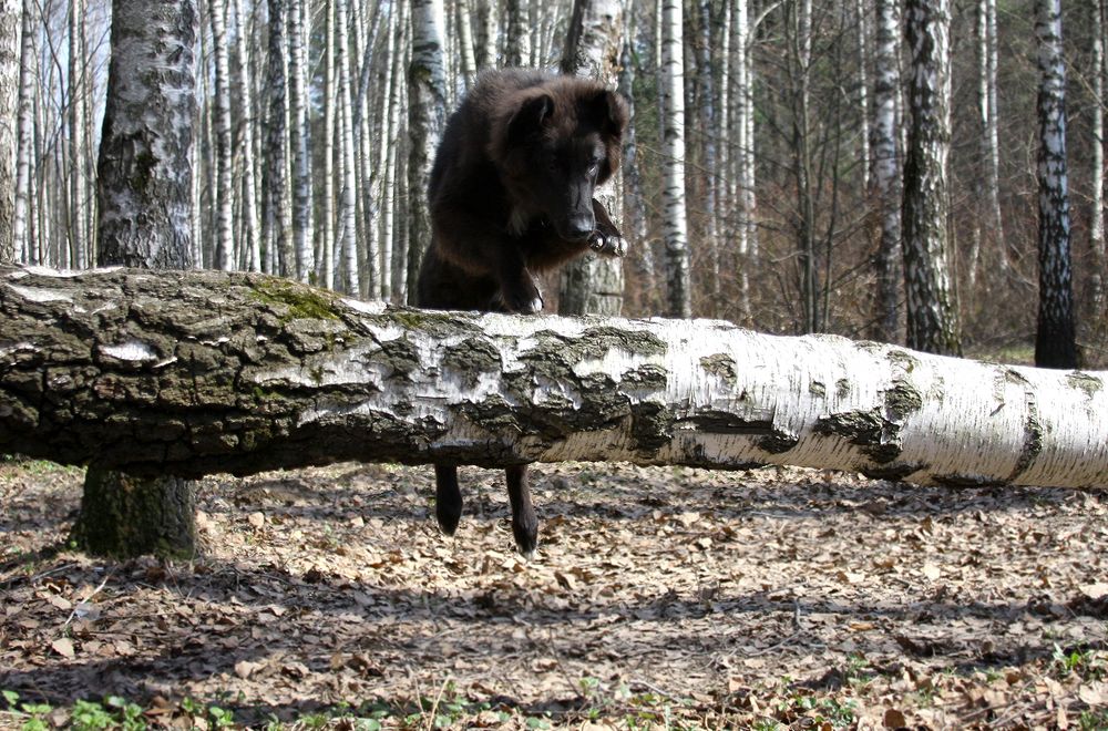Фотография автора Надежда Лисицына