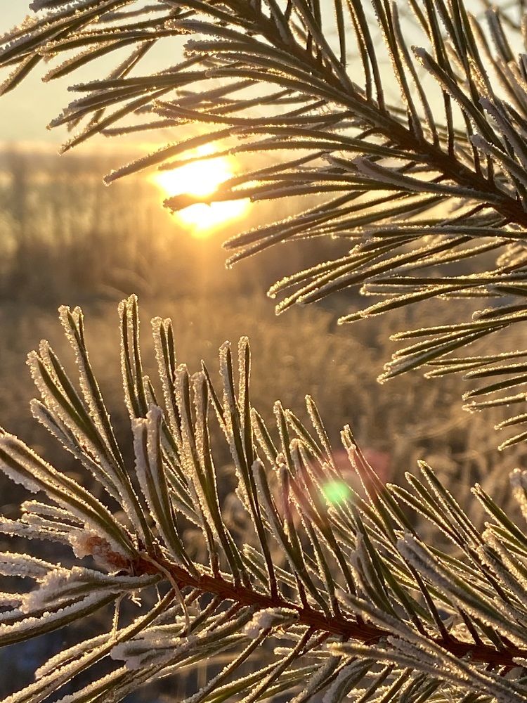 Photograph by Елена Макшеева