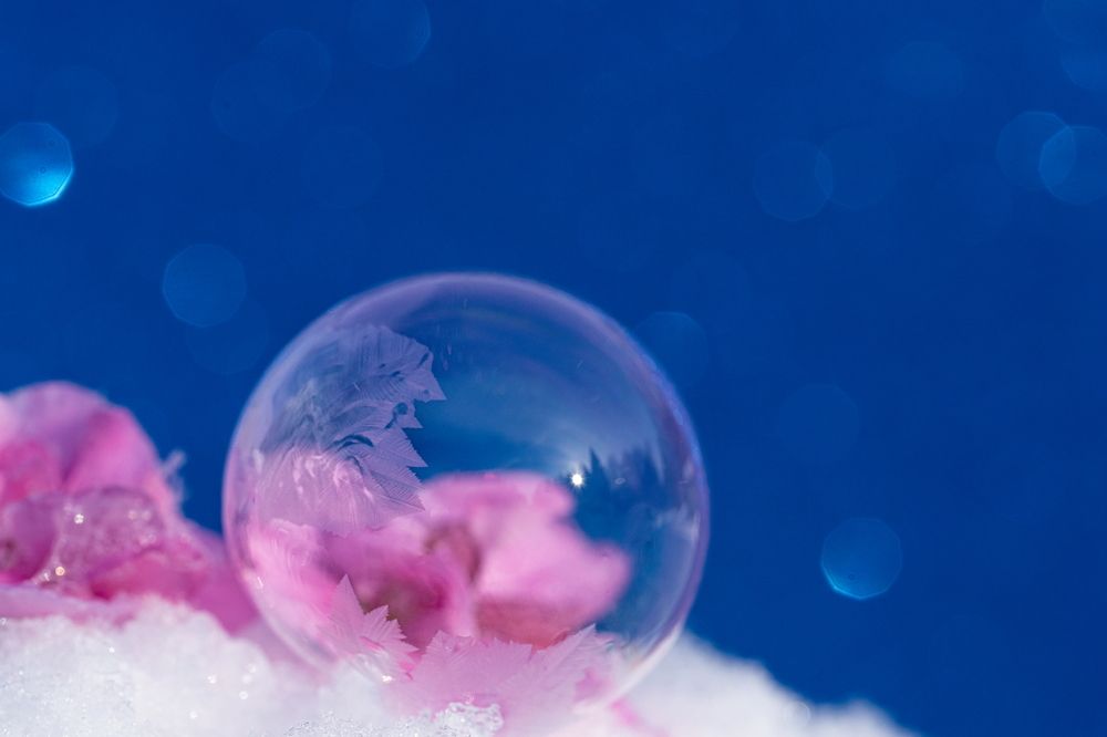 Photograph by Николай Фонарёв