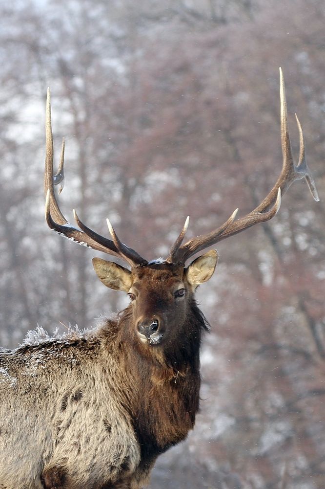 Photograph by Евгений Софронов