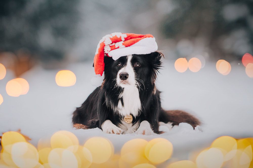 Фотография автора Анна