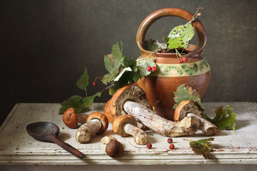 Этюд с подберезовиками.