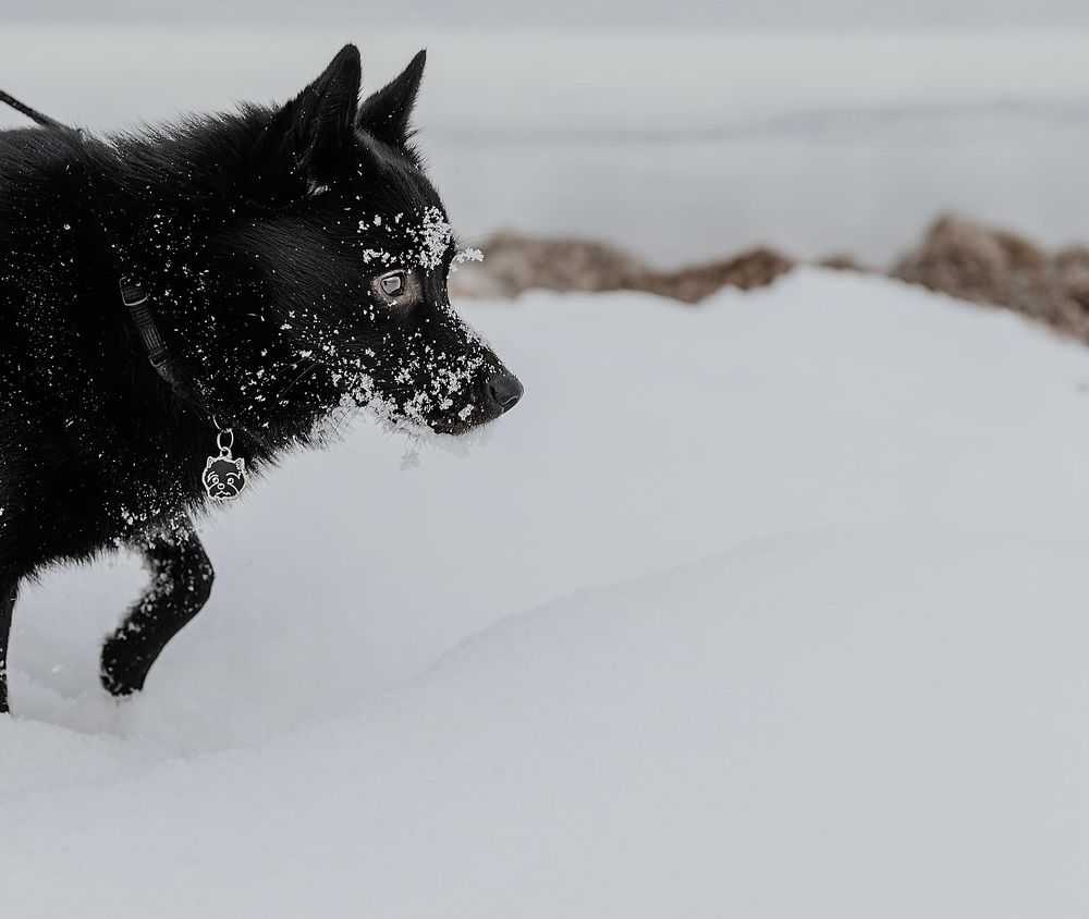 Photograph by Viktorija Gorovaja