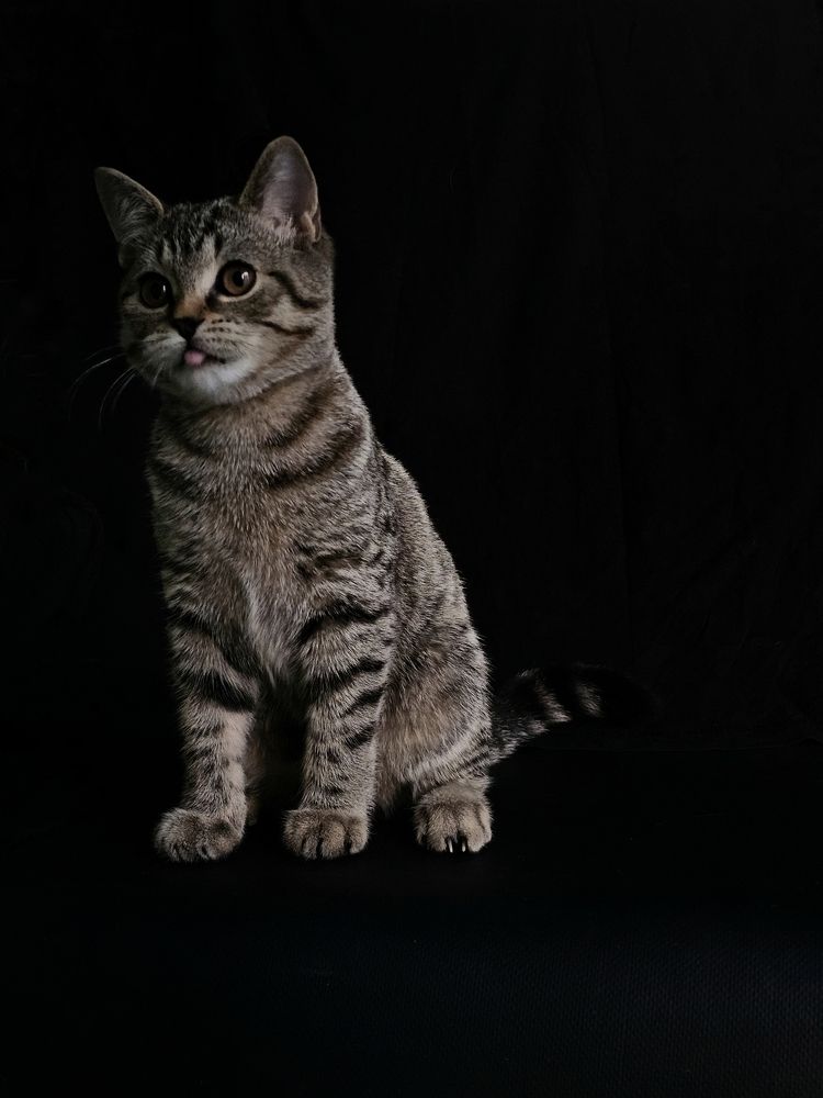 Photograph by Юлия