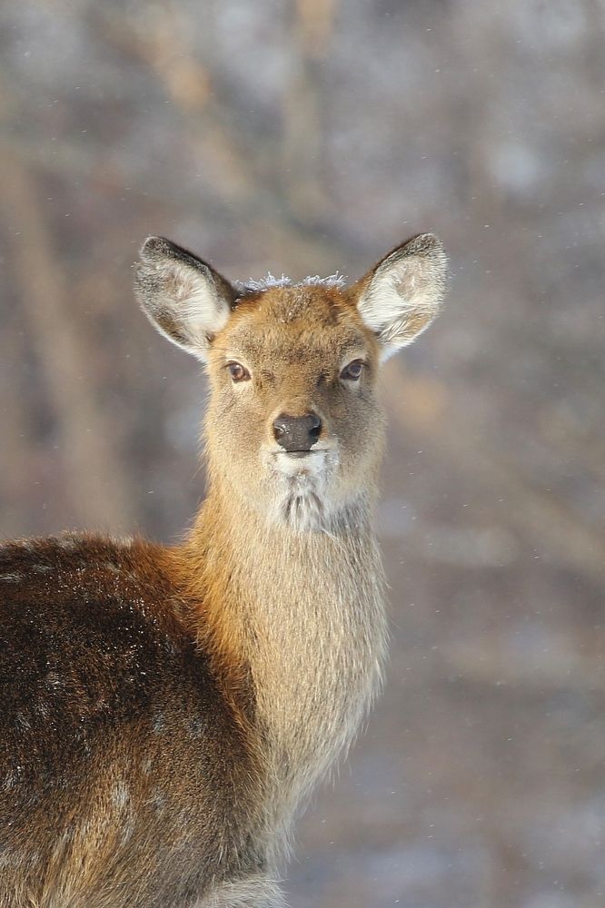 Photograph by Евгений Софронов