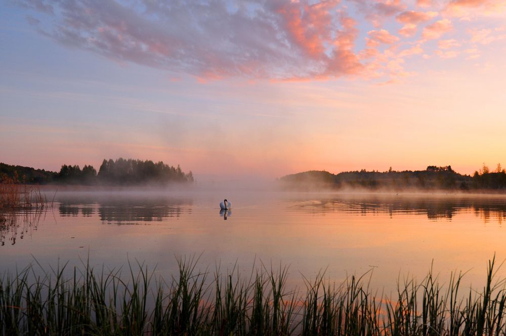 Photograph by Юрий Яковлев