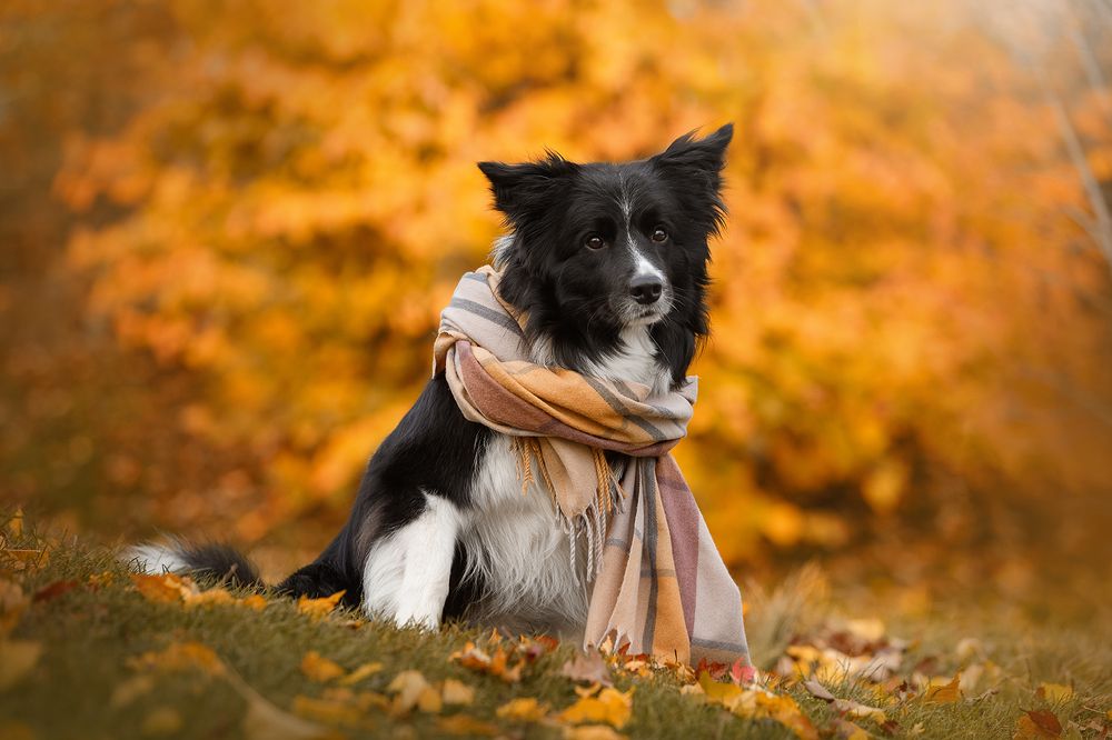 Photograph by Ольга Легенькая