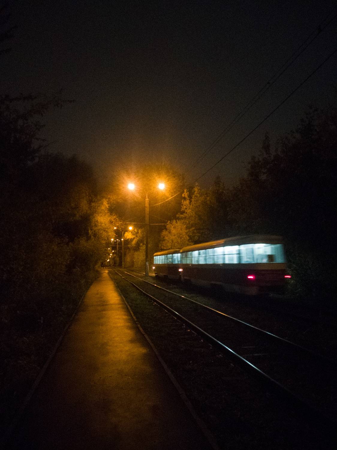 Photo #10319014