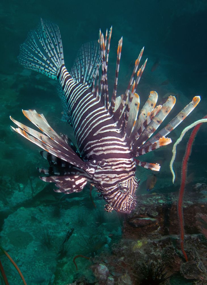 Photograph by Всеволод Сахновский