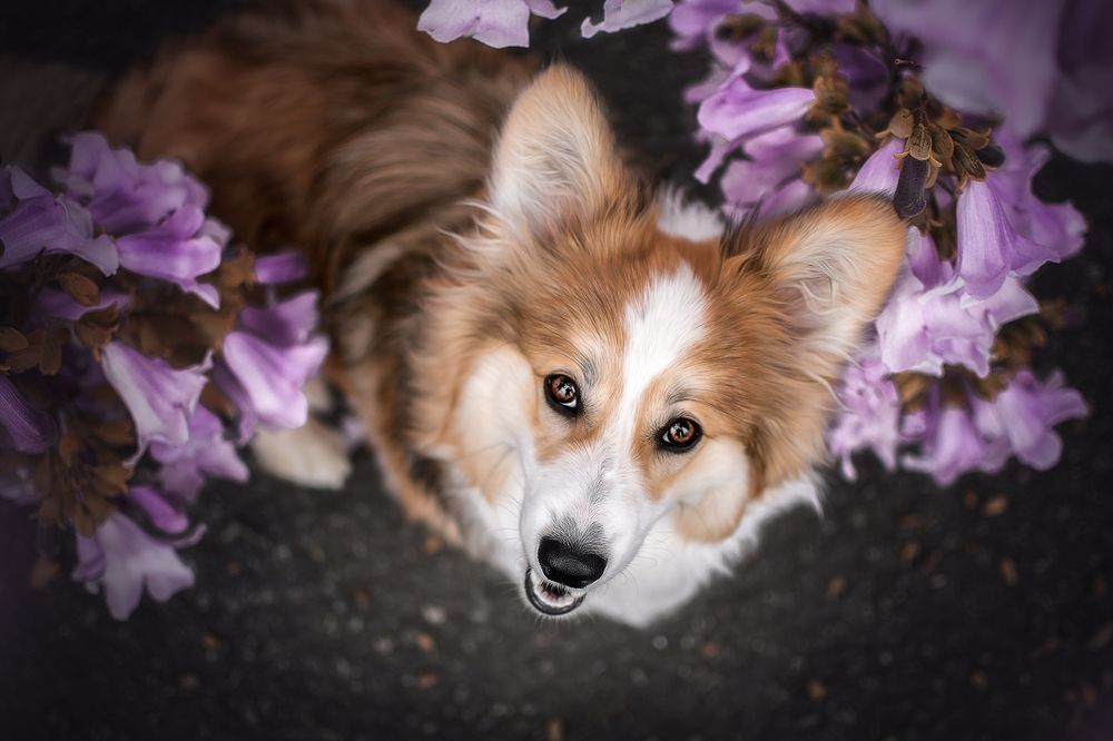 Photograph by Laura Quintanel