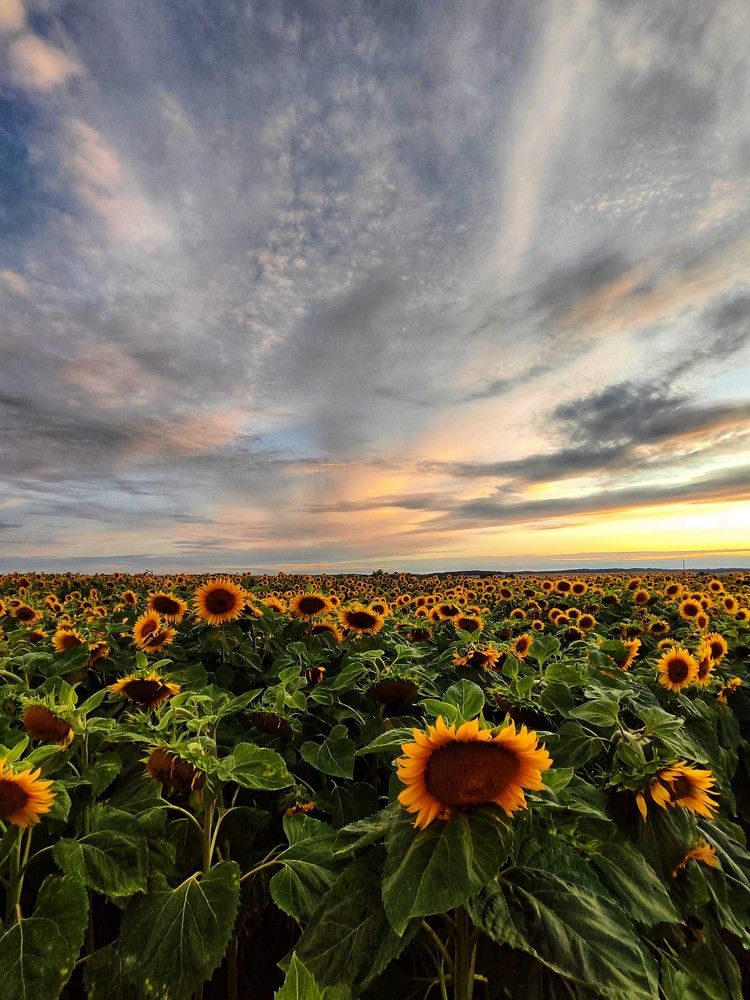 Photograph by Елена Кошелева