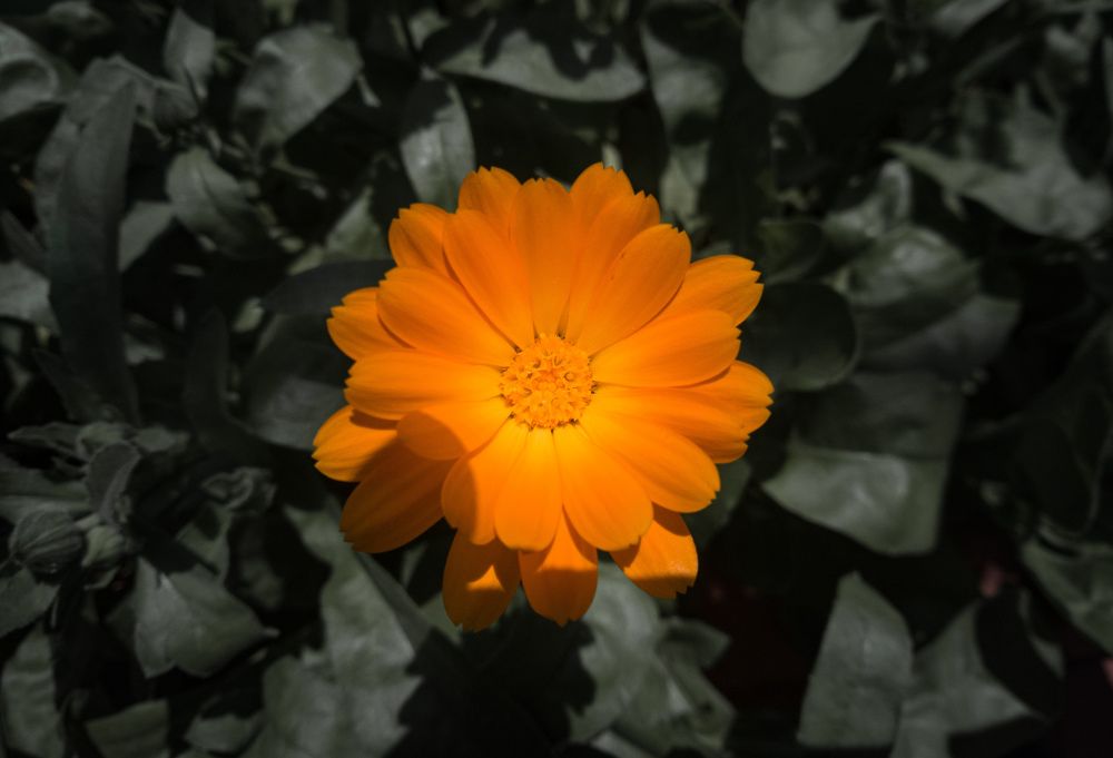 Photograph by Ivan Kimov