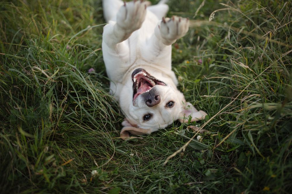 Фотография автора Мавлютова Алена