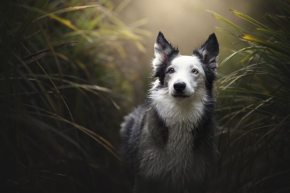 Фотография автора Rut Casanellas