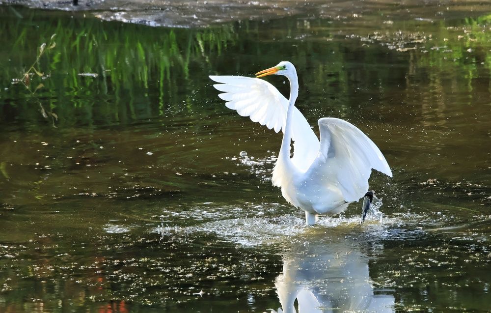 Photograph by Olga Asson