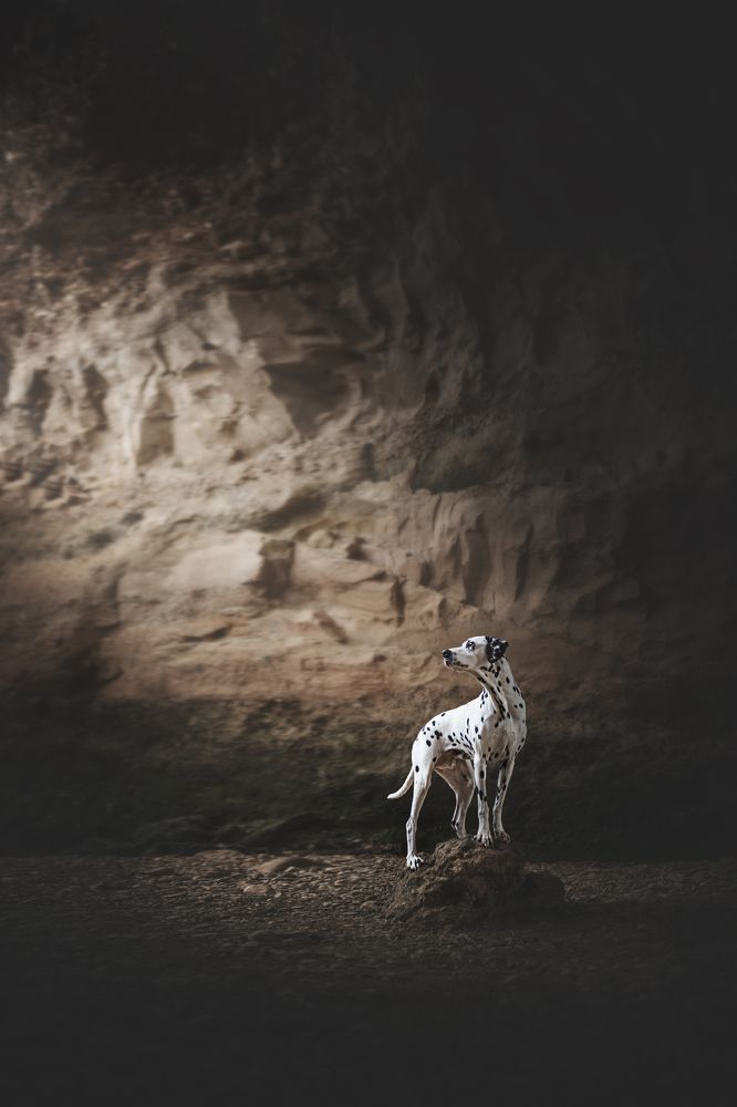 Фотография автора Rut Casanellas