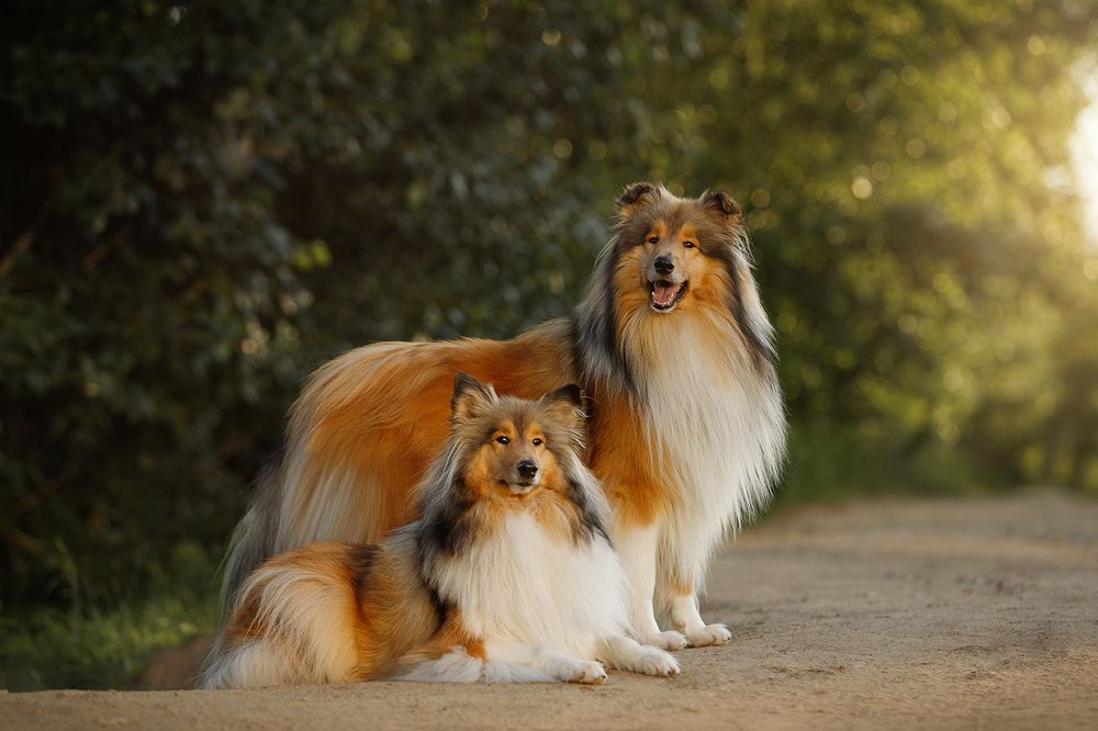 Photograph by Ольга Легенькая