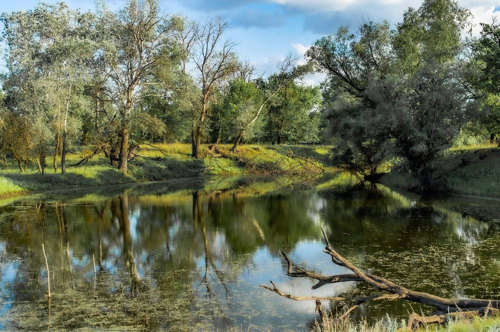 Photograph by Васильев Роман