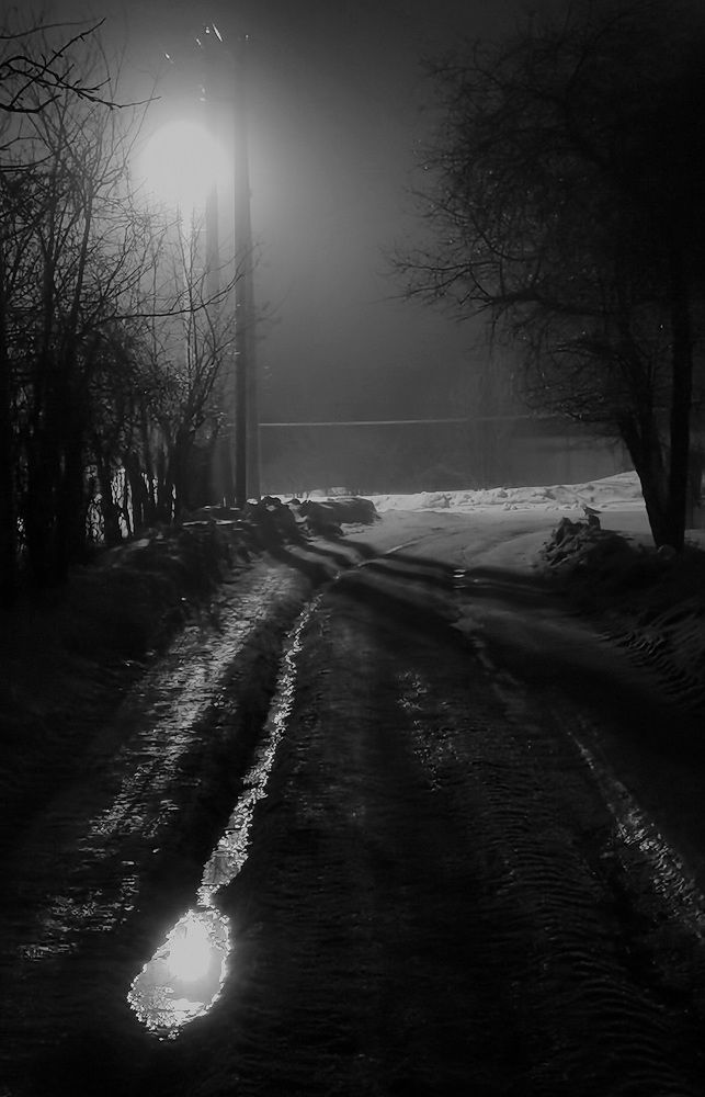 Photograph by Филоненко Николай