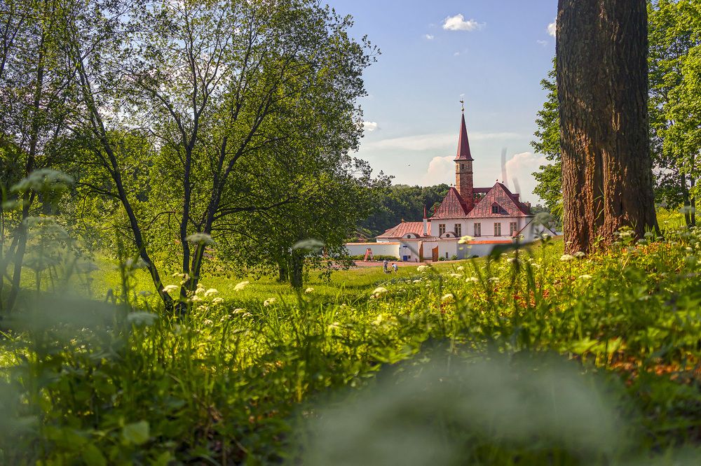 Photograph by Анастасия Белякова