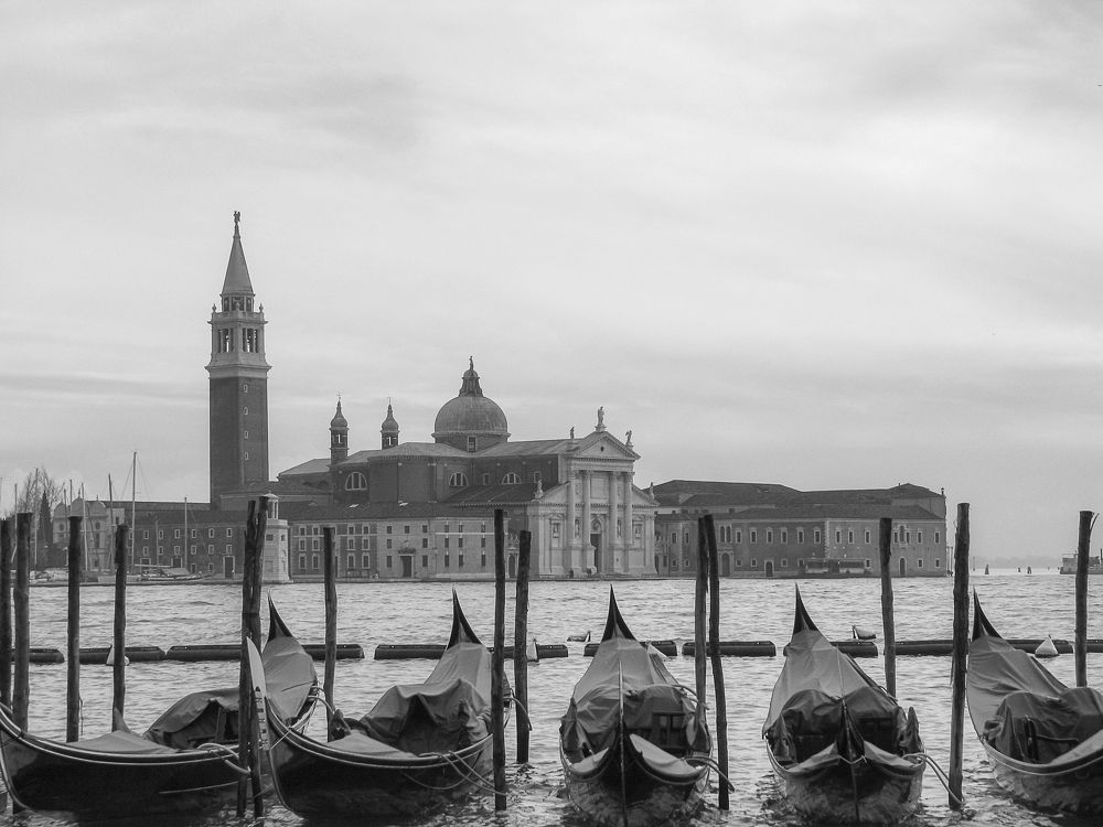 Photograph by Alice White