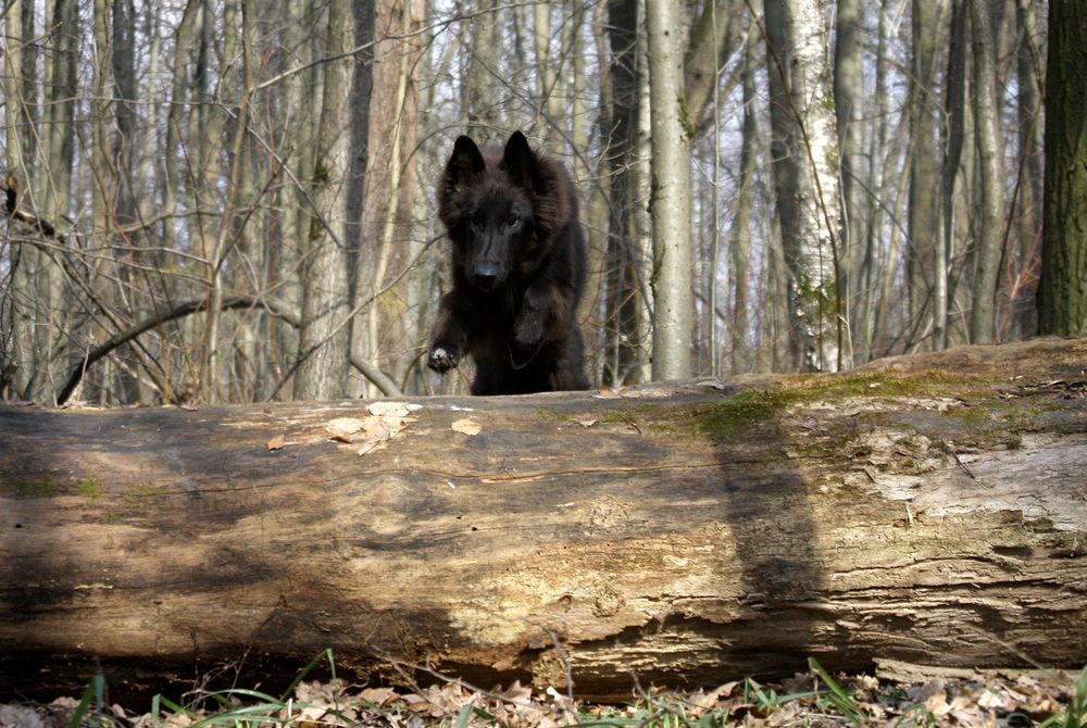 Фотография автора Надежда Лисицына