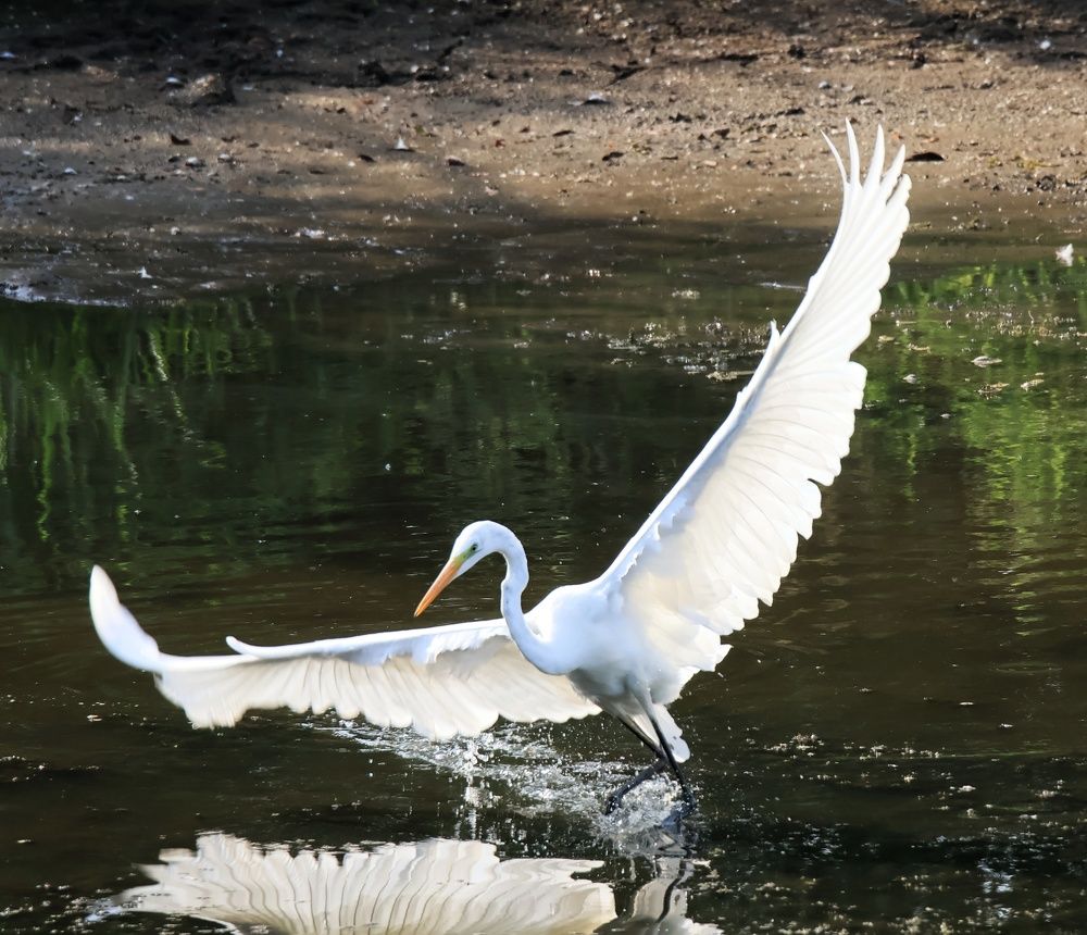 Photograph by Olga Asson