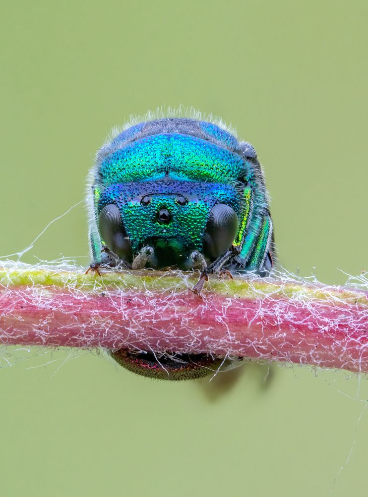 Photograph by Глеб Коровко