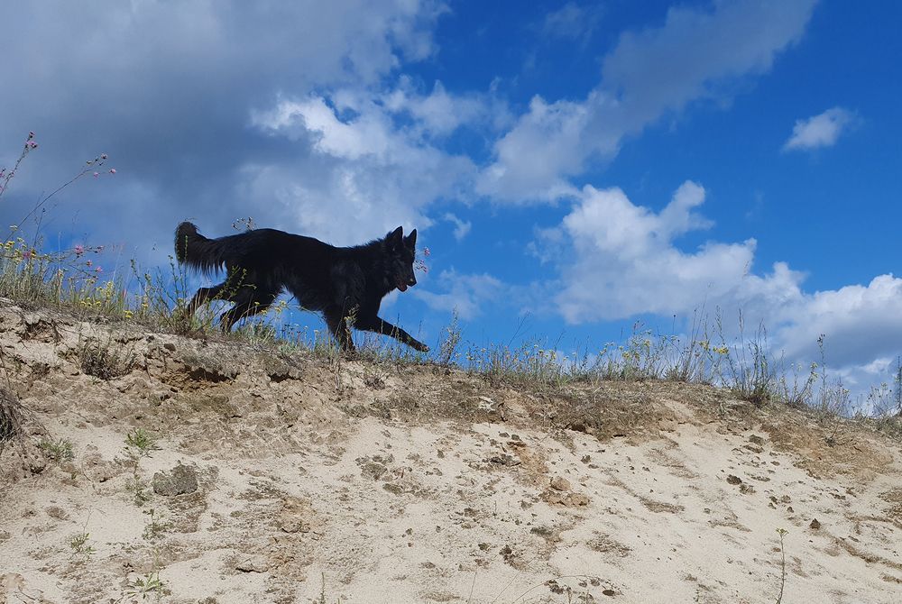 Фотография автора Надежда Лисицына