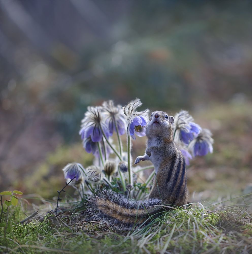 Photograph by Евгения Левина