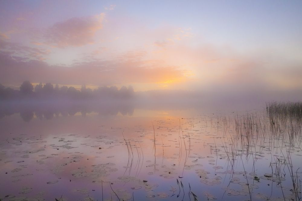 Photograph by Напалкин Станислав