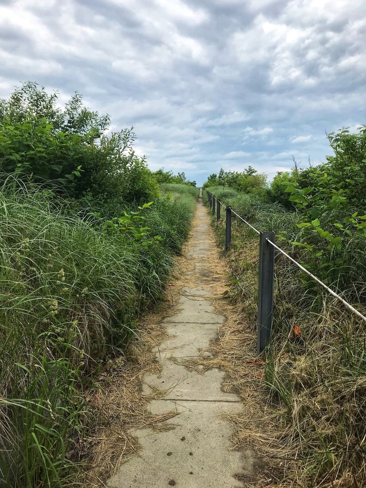 The Road Less Traveled